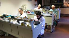 Laboratorio